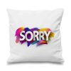 Send Sorry Cushion To Pakistan