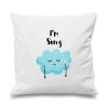 Send Sorry Cushion To Pakistan