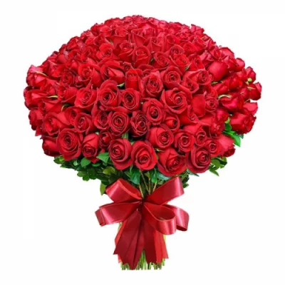 send red roses to pakistan
