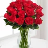 1 Dozen Imported Red Roses In A Vase